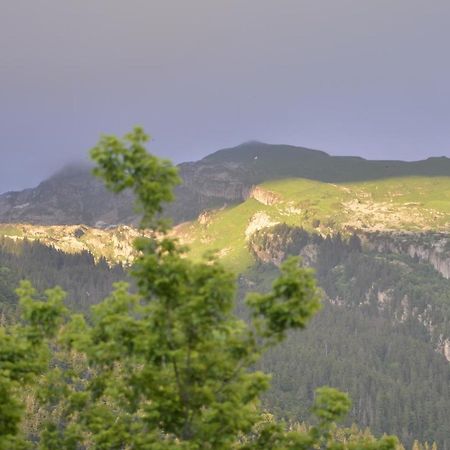 Domaine Du Grand Tetras Samoens Lejlighed Eksteriør billede