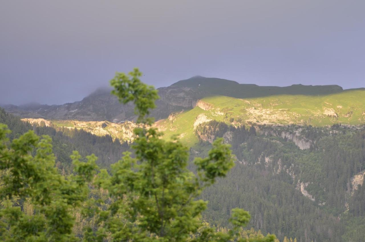 Domaine Du Grand Tetras Samoens Lejlighed Eksteriør billede