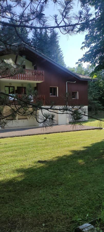 Domaine Du Grand Tetras Samoens Lejlighed Eksteriør billede