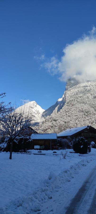 Domaine Du Grand Tetras Samoens Lejlighed Eksteriør billede